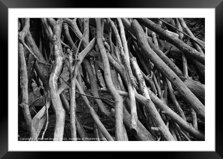 Stacked branches  Framed Mounted Print by Michael bryant Tiptopimage