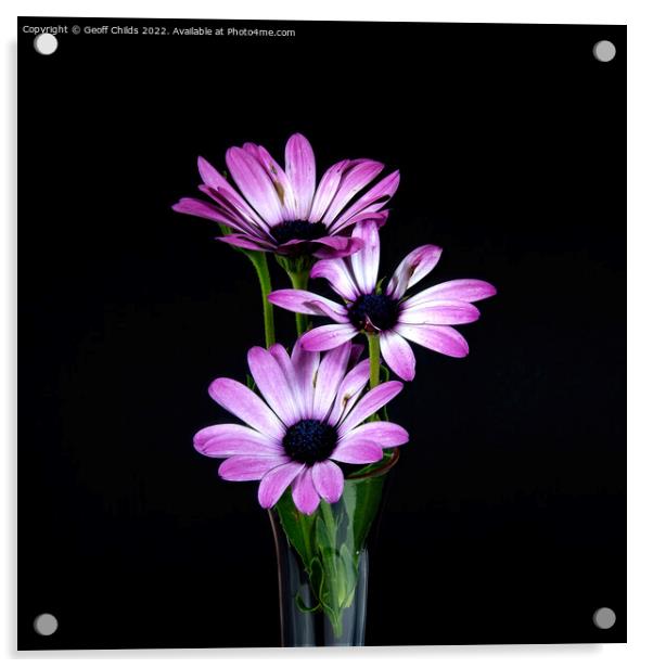  African Daisy flower arrangement in a vase. Acrylic by Geoff Childs