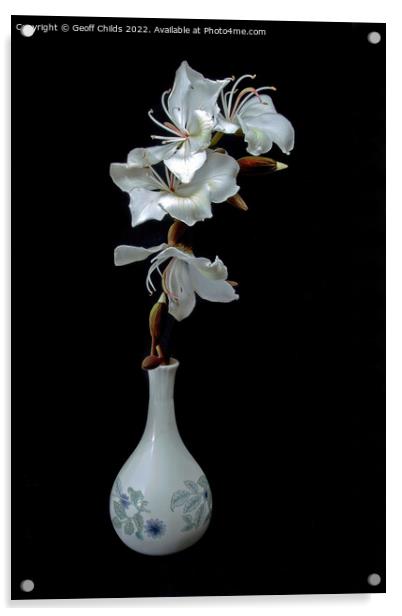 White Orchid Tree flowers in a vase isolated on black background Acrylic by Geoff Childs