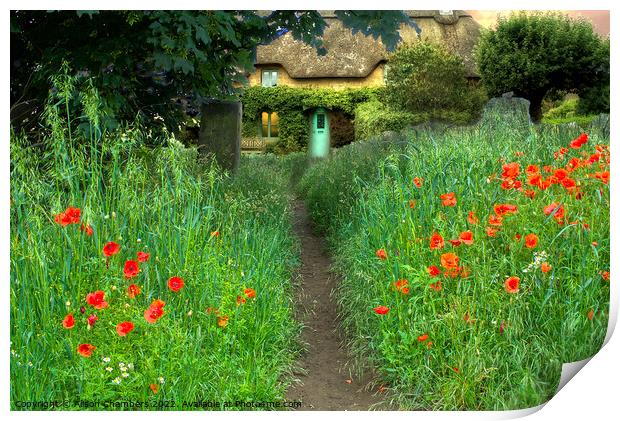 Poppy Lane Cottage Print by Alison Chambers