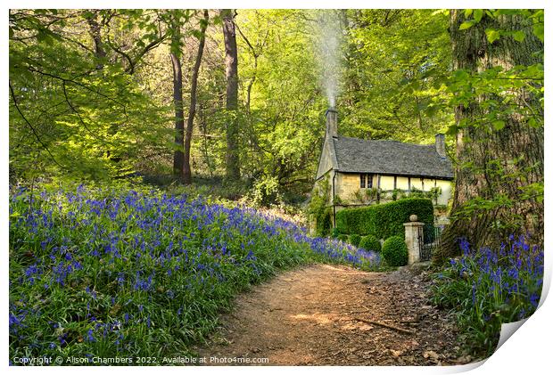 Woodland Cottage Print by Alison Chambers