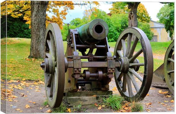 Historic Cannon at Sea Fortress Suomenlinna Canvas Print by Taina Sohlman