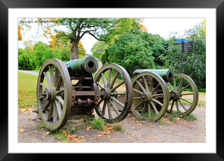 Historic Cannons at Naval Fortress Suomenlinna Framed Mounted Print by Taina Sohlman