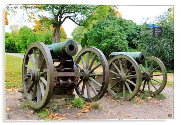 Historic Cannons at Naval Fortress Suomenlinna Acrylic by Taina Sohlman