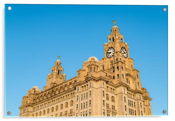 Royal Liver Building in golden light Acrylic by Jason Wells
