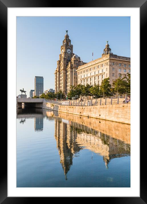 Reflections of the Liver Building Framed Mounted Print by Jason Wells