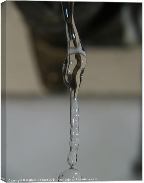 Water Drops Canvas Print by Callum Cooper