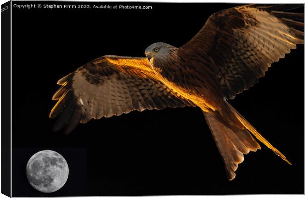 Red Kite above the Moon Canvas Print by Stephen Pimm