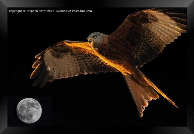 Red Kite above the Moon Framed Print by Stephen Pimm