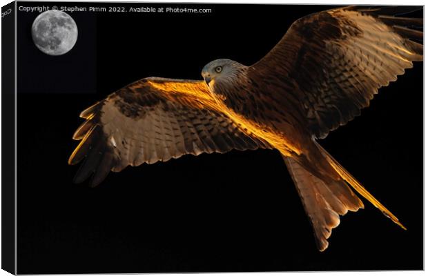 Red Kite Moon Above Canvas Print by Stephen Pimm