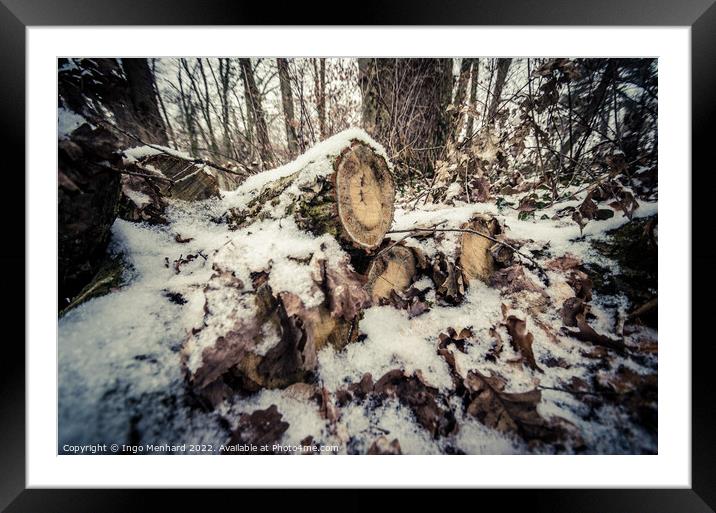 Cut trunks of a tree in a snow-covered forest Framed Mounted Print by Ingo Menhard