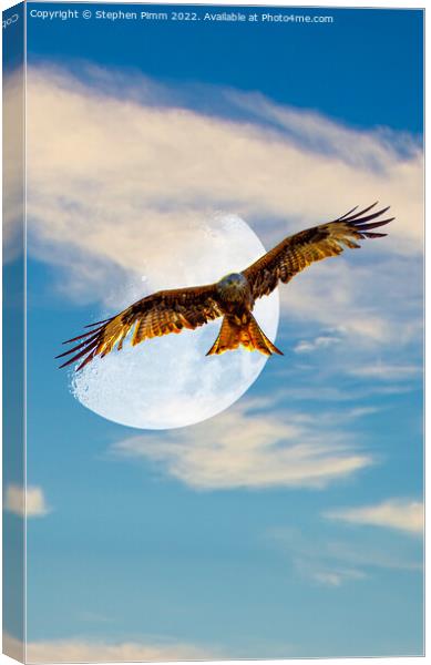 Red Kite Evening Moon Shoot Canvas Print by Stephen Pimm