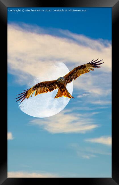 Red Kite Evening Moon Shoot Framed Print by Stephen Pimm