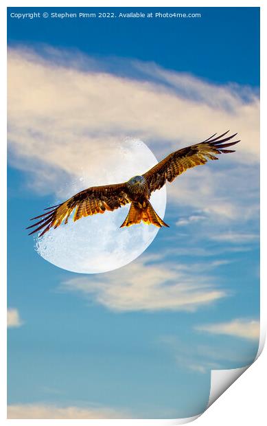 Red Kite Evening Moon Shoot Print by Stephen Pimm