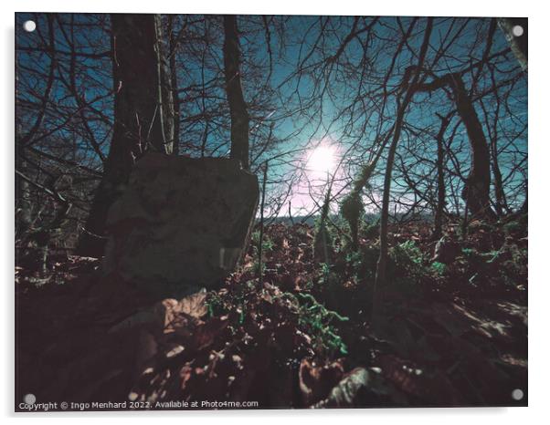 Old border stone in a dark forest Acrylic by Ingo Menhard