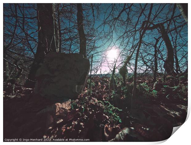 Old border stone in a dark forest Print by Ingo Menhard