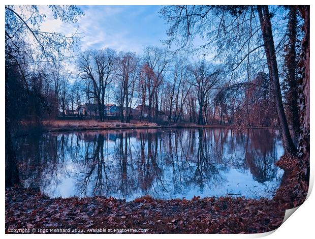Reflective pond water with bare autumn tree reflections on a cloudy day Print by Ingo Menhard