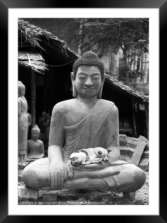 Dog sleeping in the lap of Buddha statue Framed Mounted Print by Alan Crumlish
