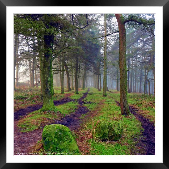 Misty woodland in Winter. Framed Mounted Print by john hill