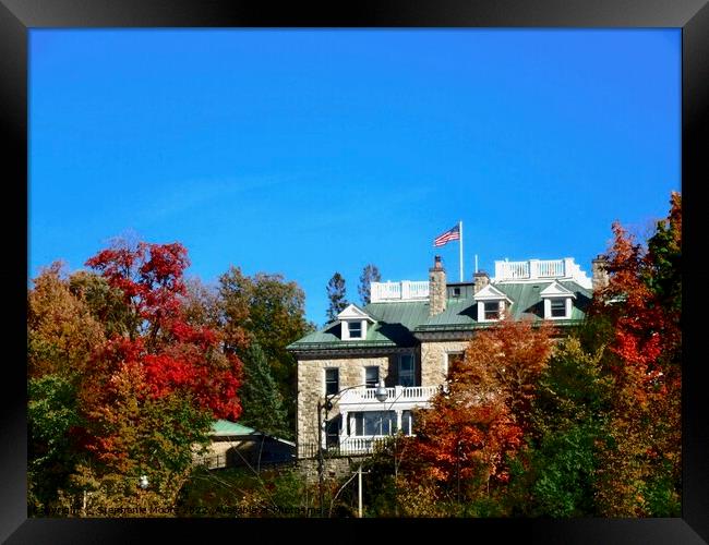 American Ambassador's Residence Framed Print by Stephanie Moore