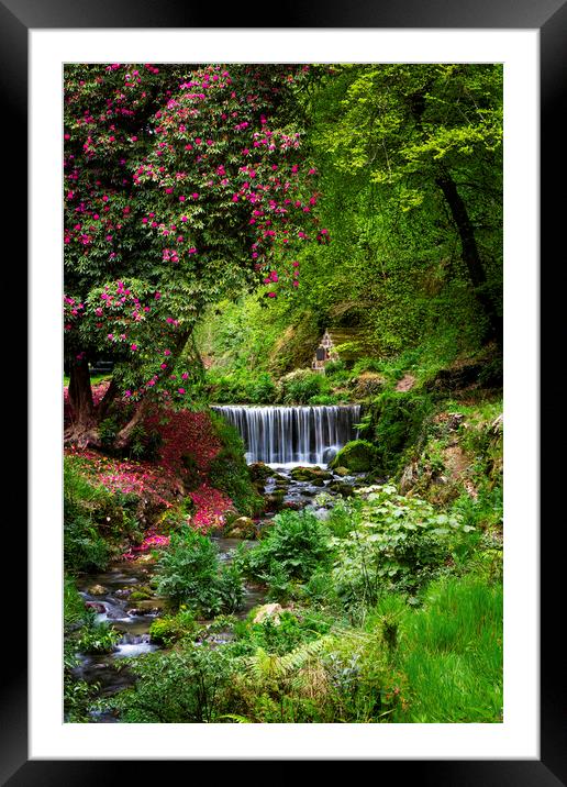 Menacuddle Well, Treverbyn, St Austell, Cornwall. Framed Mounted Print by Maggie McCall
