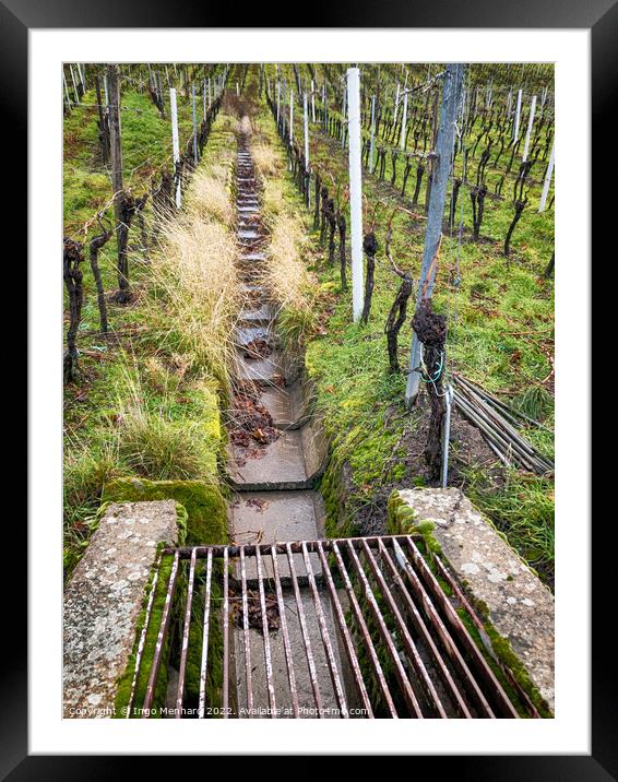 An empty iron gutter at the vineyards Framed Mounted Print by Ingo Menhard