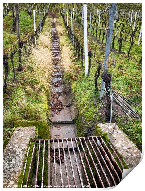 An empty iron gutter at the vineyards Print by Ingo Menhard