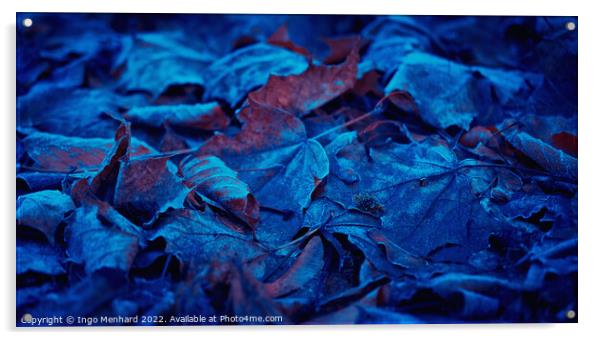 Frozen and blue foliage Acrylic by Ingo Menhard