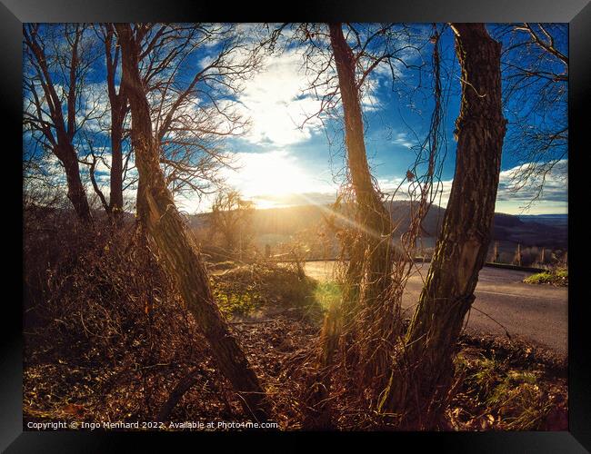 Closeup shot of dry trees at sunlight Framed Print by Ingo Menhard