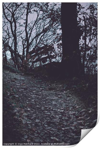 Path up to the hill Print by Ingo Menhard