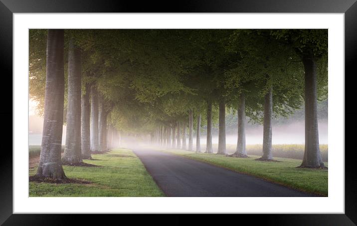 The Road to Moor Crichel Framed Mounted Print by David Semmens