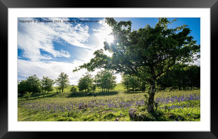 Holwell Lawn, Dartmoor Framed Mounted Print by John Fowler