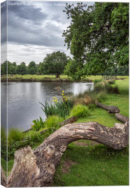 Natural seating from fallen log Canvas Print by Kevin White