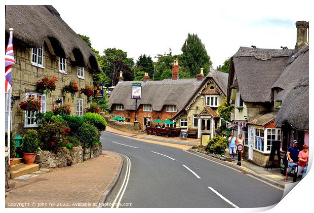 Thatched village, Shanklin, Isle of Wight, UK. Print by john hill