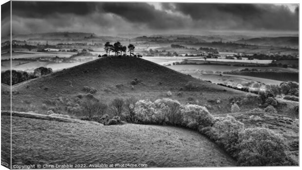 Colmers Hill at sunrise in monochrome Canvas Print by Chris Drabble