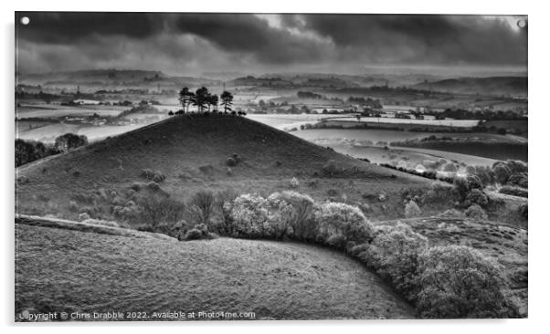 Colmers Hill at sunrise in monochrome Acrylic by Chris Drabble