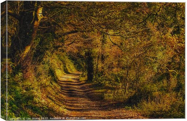 Countryside walk Canvas Print by Ian Stone