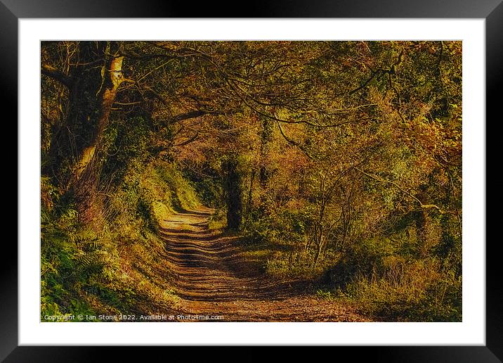 Countryside walk Framed Mounted Print by Ian Stone