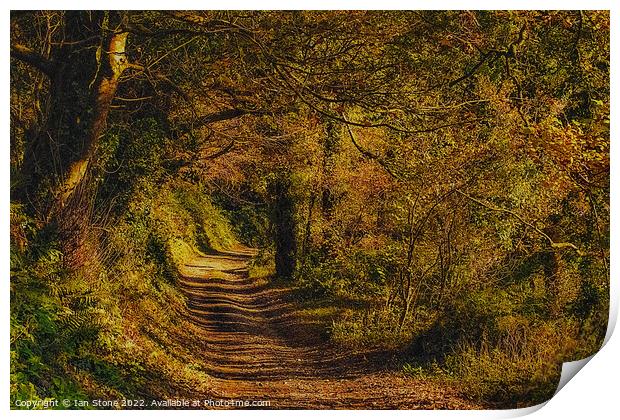 Countryside walk Print by Ian Stone