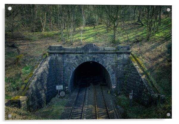 padley gorge tunnel Acrylic by Jason Thompson
