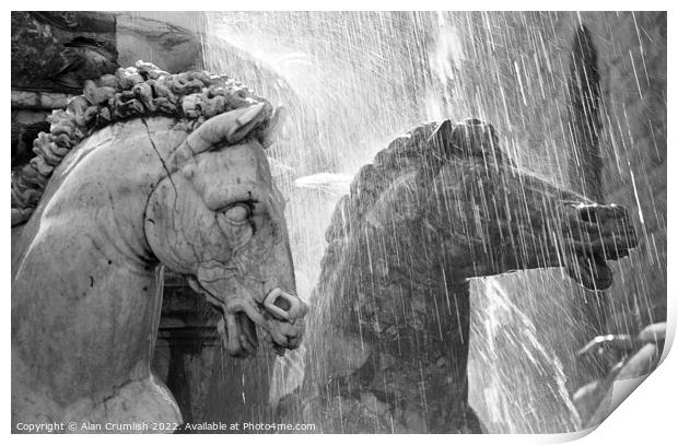 Horses in a Fountain   Print by Alan Crumlish