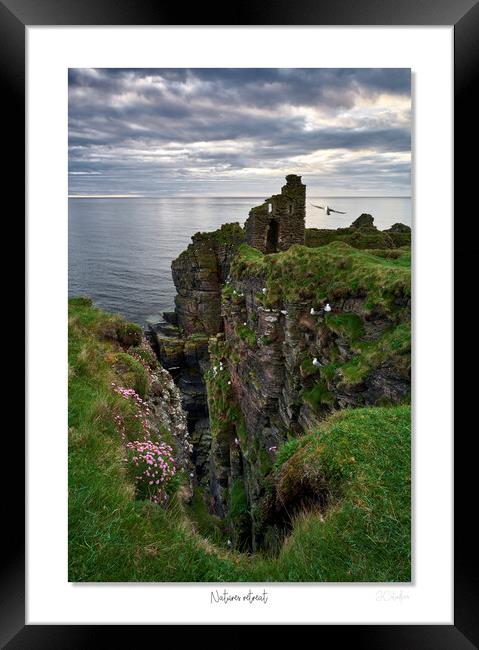 Natures retreat castle Scotland Framed Print by JC studios LRPS ARPS