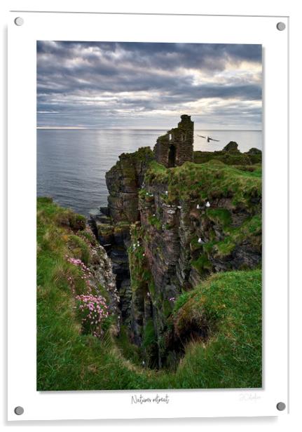 Natures retreat castle Scotland Acrylic by JC studios LRPS ARPS