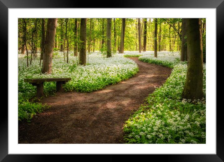 Wild garlic woods  Framed Mounted Print by Jason Thompson