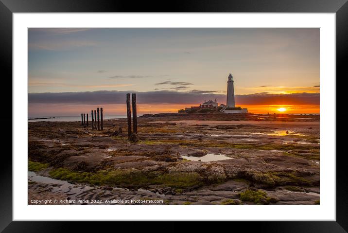 St Mary`s Lighthouse sunrise Framed Mounted Print by Richard Perks