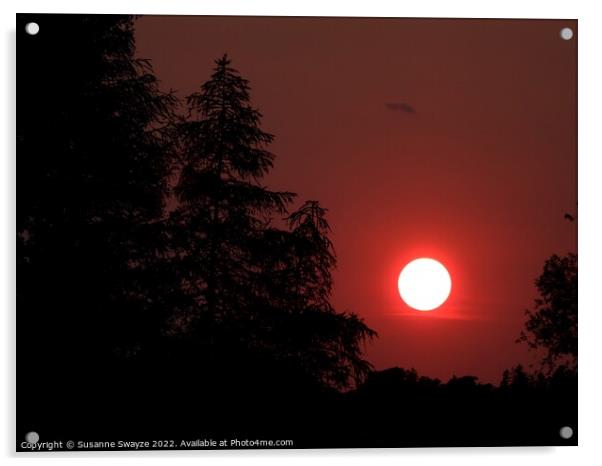 Sunset over Hamilton Acrylic by Susanne Swayze