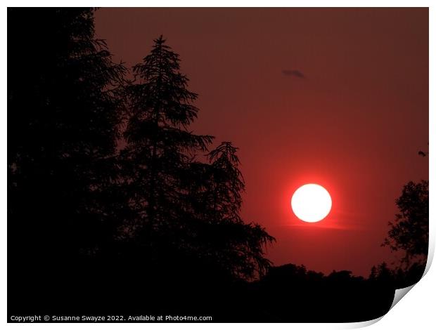 Sunset over Hamilton Print by Susanne Swayze
