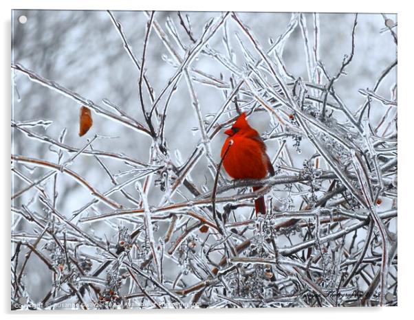 Ice Tree Cardinal Acrylic by Susanne Swayze