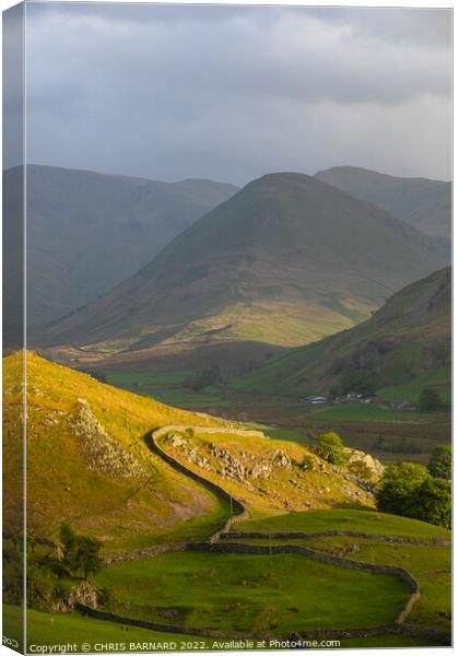 Martindale Valley Canvas Print by CHRIS BARNARD