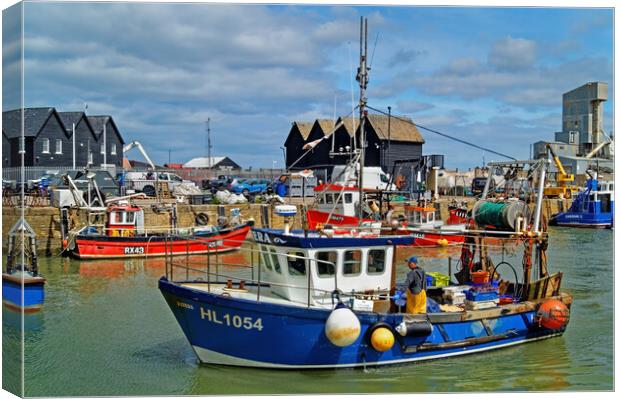 Catch of the Day at Whitstable Harbour Canvas Print by Darren Galpin
